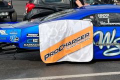 Tire Shade with ProCharger Logo