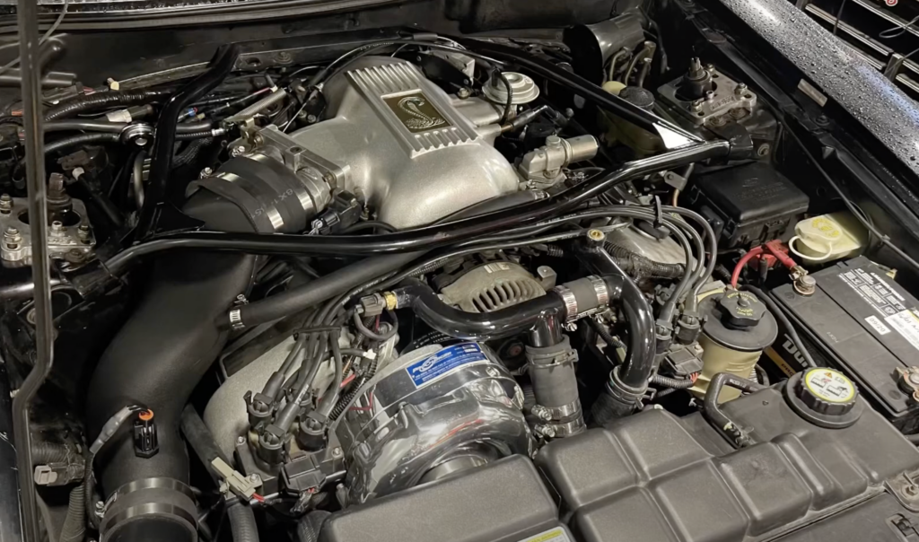 Ford Mustang Cobra ProCharged underhood