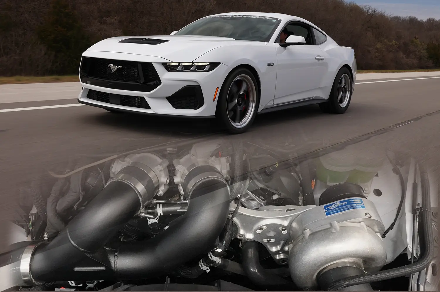 S650 MUSTANG CUSTOMER POWER NUMBERS ARE ROLLING IN