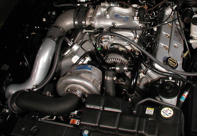 ProCharged 2001 to 1999 cobra 4.6 4v underhood