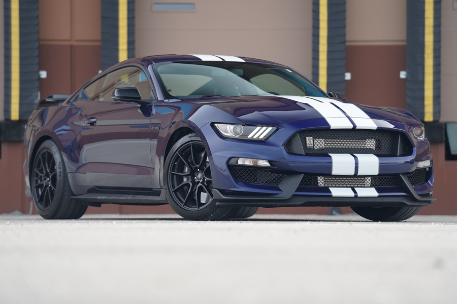 2020-2015 Mustang GT350 GT350R ProCharger Supercharger Systems and Kits - GT350 Blue Exterior