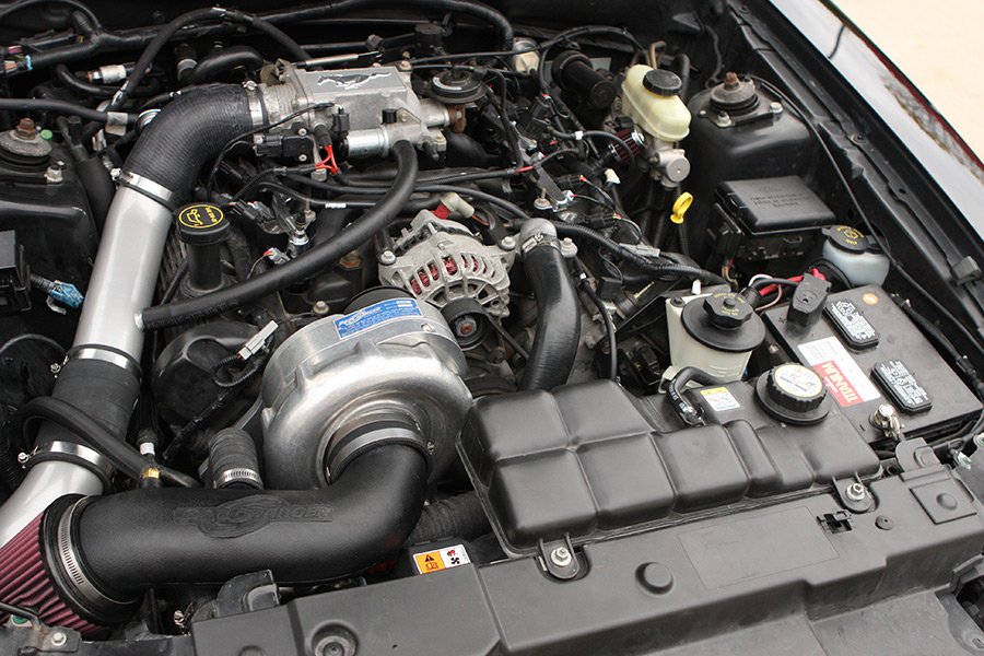 2001 Ford Mustang V6 ProCharger supercharger install