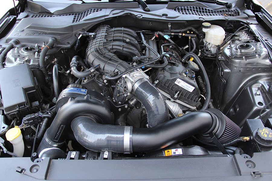 2015 Ford Mustang V6 ProCharger supercharger under hood shot