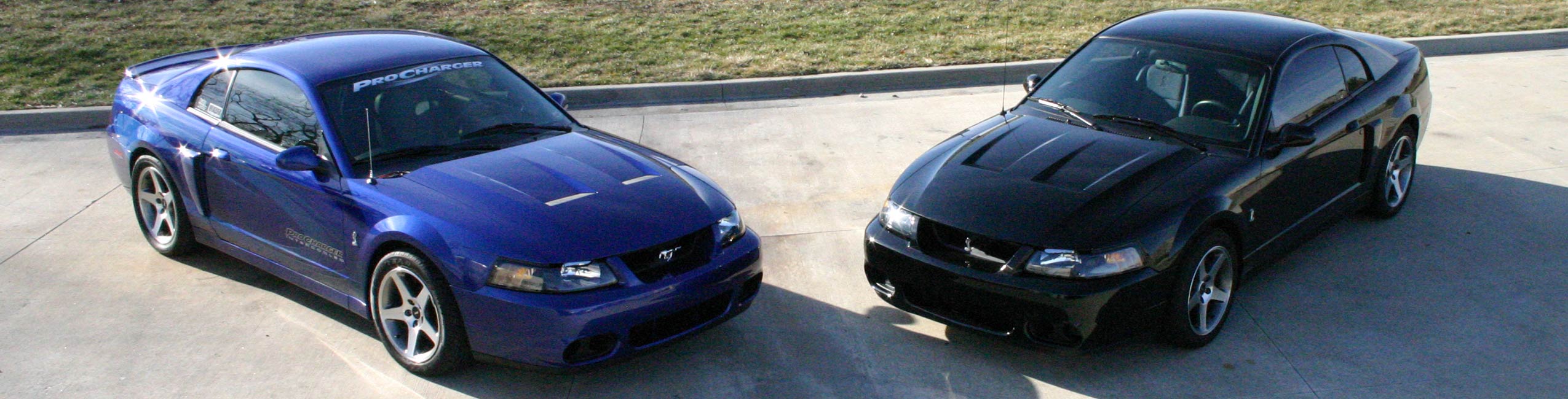 2004-2004 ProCharged Mustang Cobra