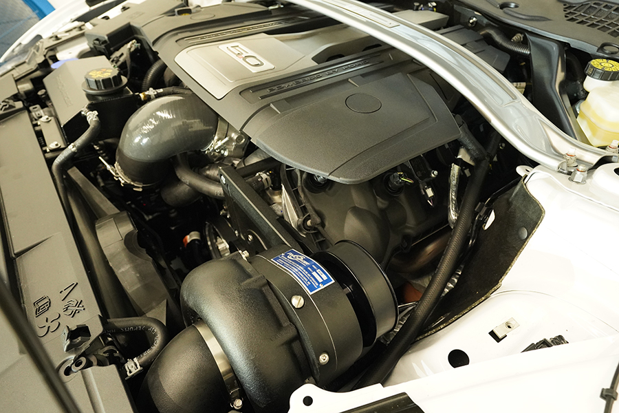 OEM Quality & Appearance