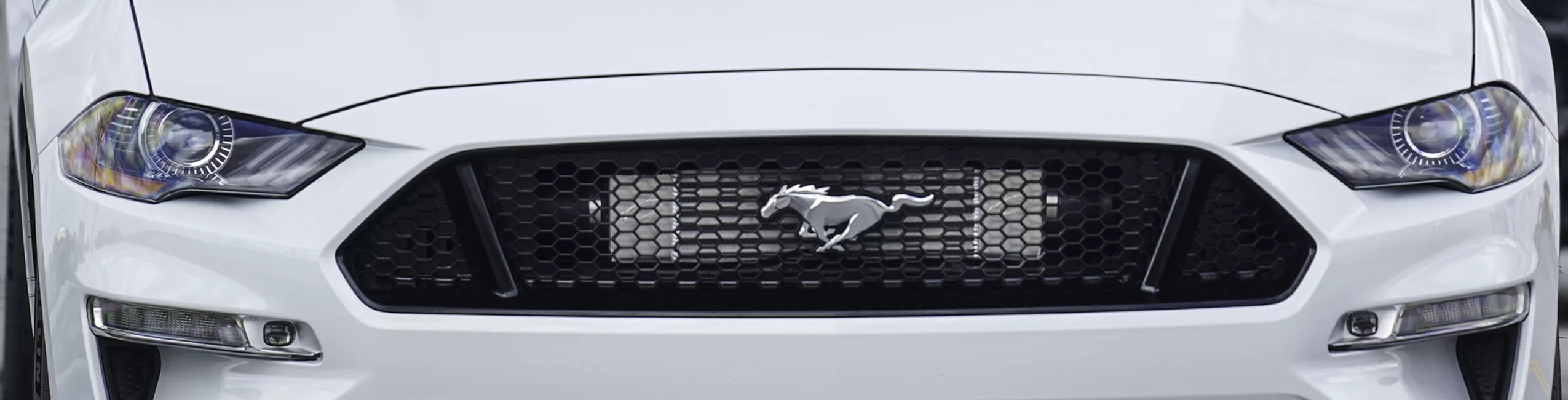 Mustang Desktop banner
