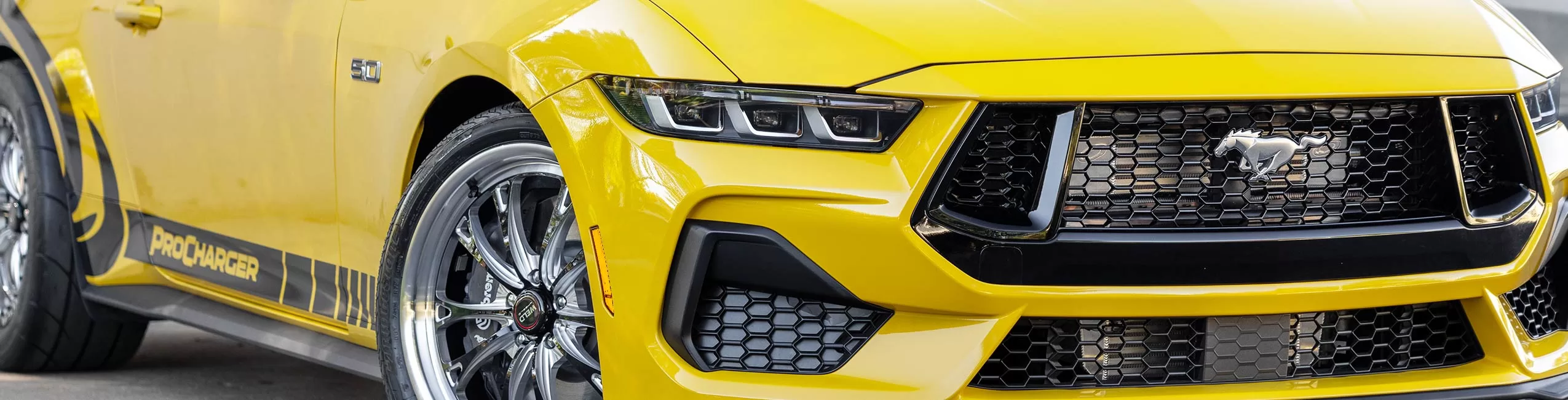 2024 Mustang Banner 3